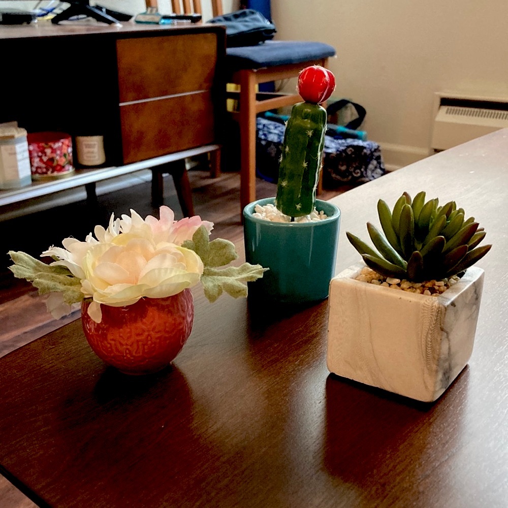 **SOLD**Mini potted cactus, plant and flowers